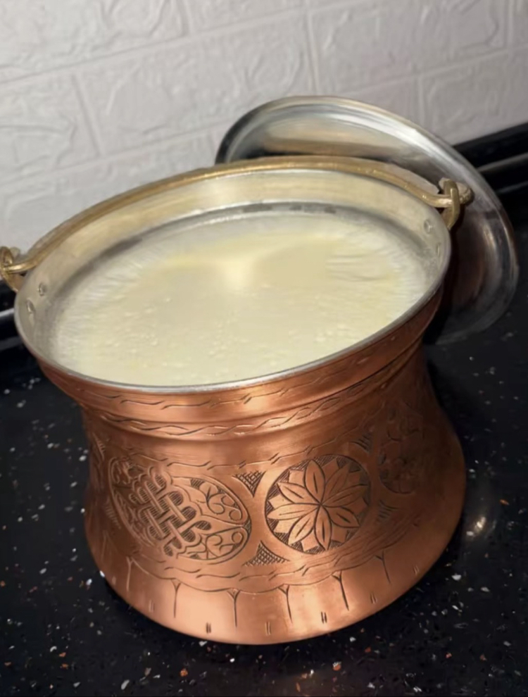 5 litre yoğurt bakraçı 