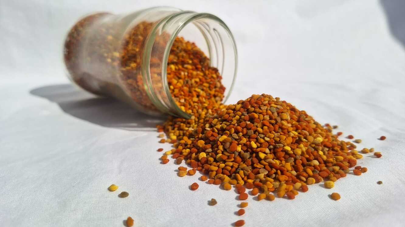 SAPANCA YAŞ POLEN / 320 cc net 200 gr