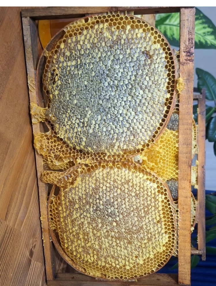 SAPANCA KARAKOVAN BALI 1 KG