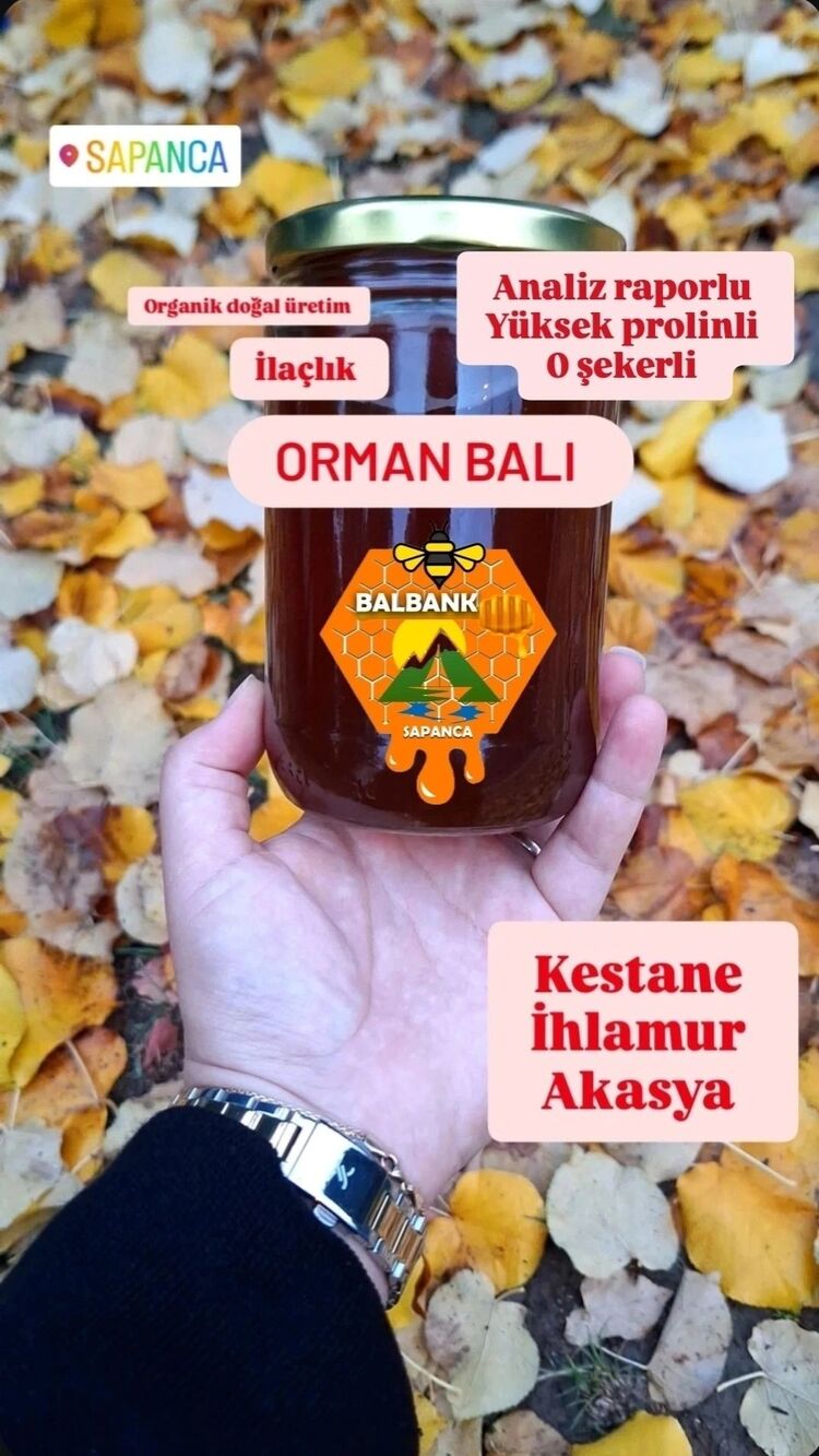 SAPANCA AÇIK RENK ACIMSI KESTANE-IHLAMUR BAL 660CC/ NET 900 GR