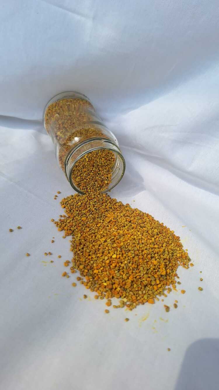 SAPANCA YAŞ POLEN / 320 cc net 200 gr