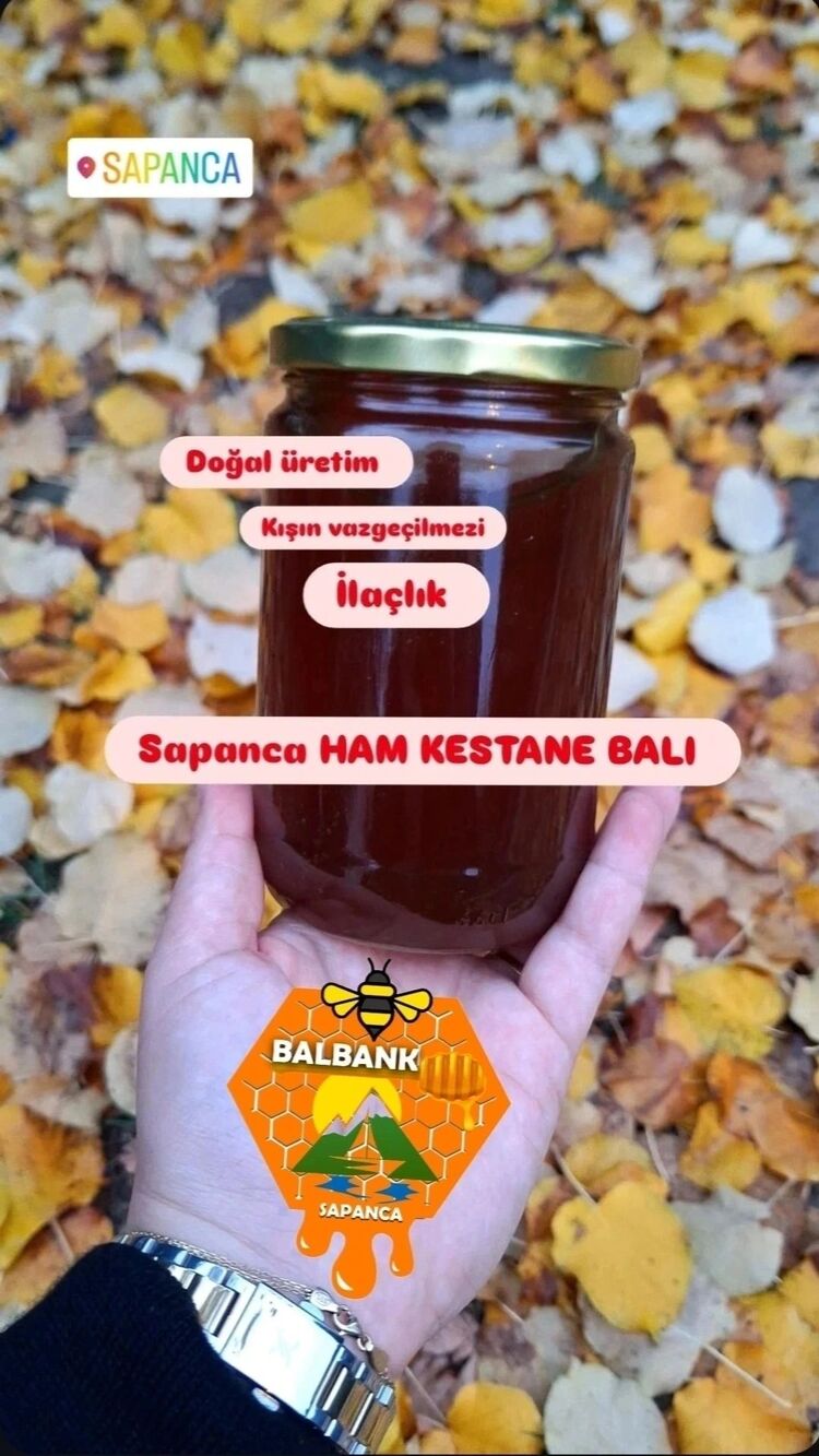SAPANCA HAM KESTANE 660 CC NET 900 GR