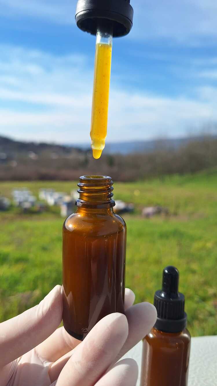 SAPANCA DOĞAL ZEYTİNYAĞ BAZLI PROPOLİS 30 ML