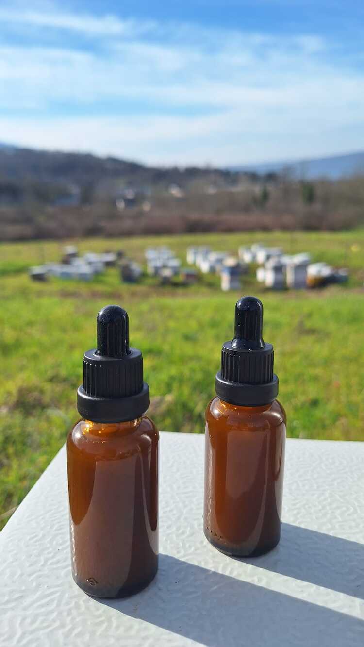 SAPANCA DOĞAL ZEYTİNYAĞ BAZLI PROPOLİS 30 ML