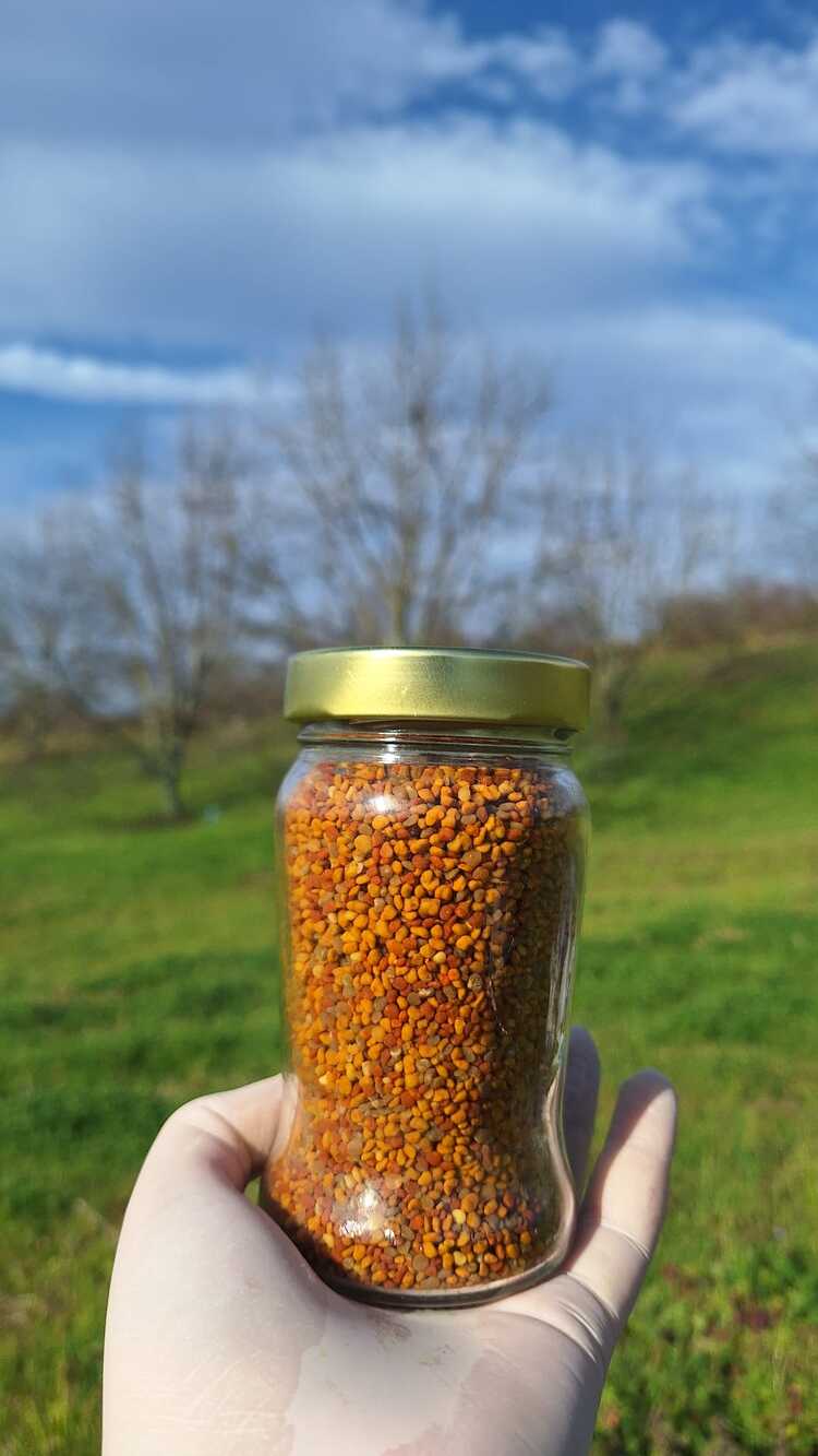 SAPANCA KURU POLEN// 320 cc net 200 gr