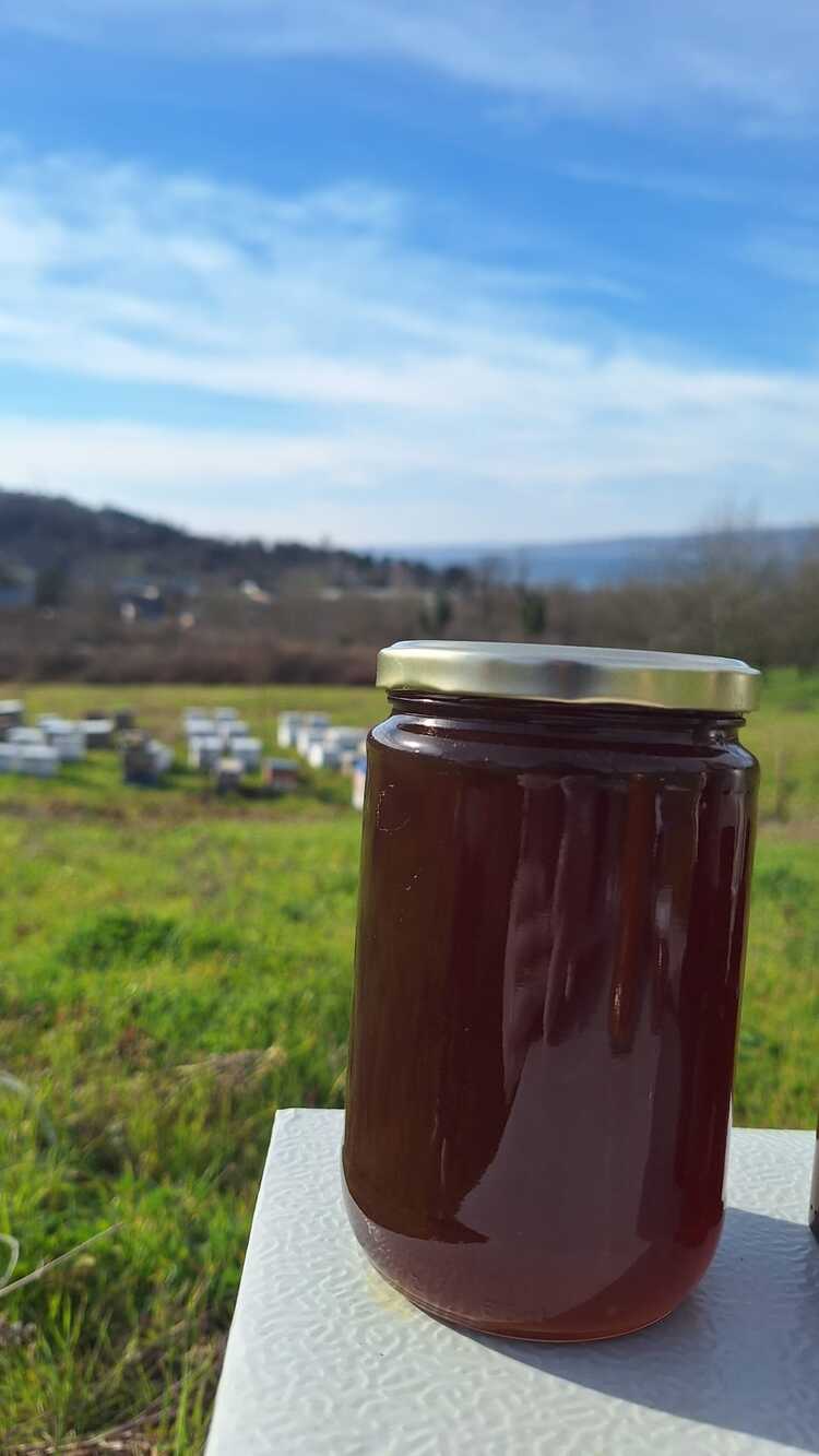 SAPANCA KOYU RENK HAM SALGI-ÇİÇEK BALI 660CC/ NET 900 GR
