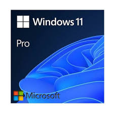 Windows 11 Pro Lisans Anahtarı