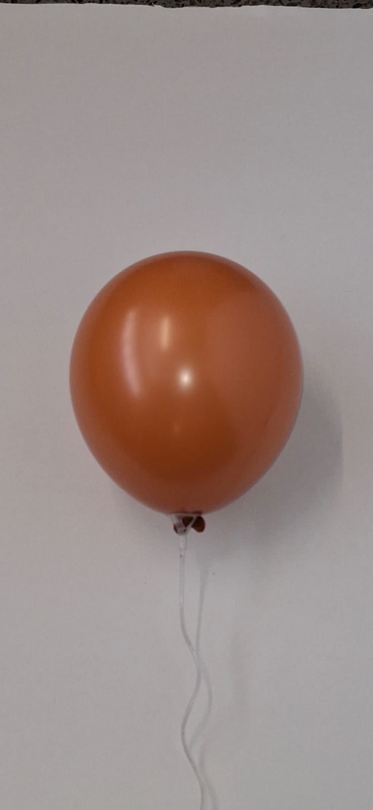 Kalisan 12" Retro Yanık Turuncu (Rust Orange) Balon 100'lü