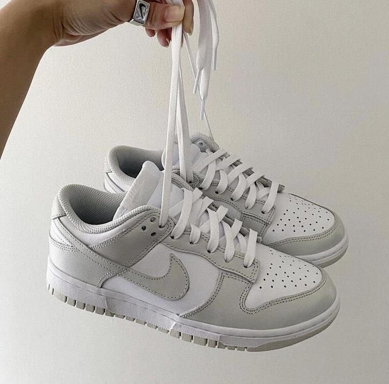 Nike Dunk Gri