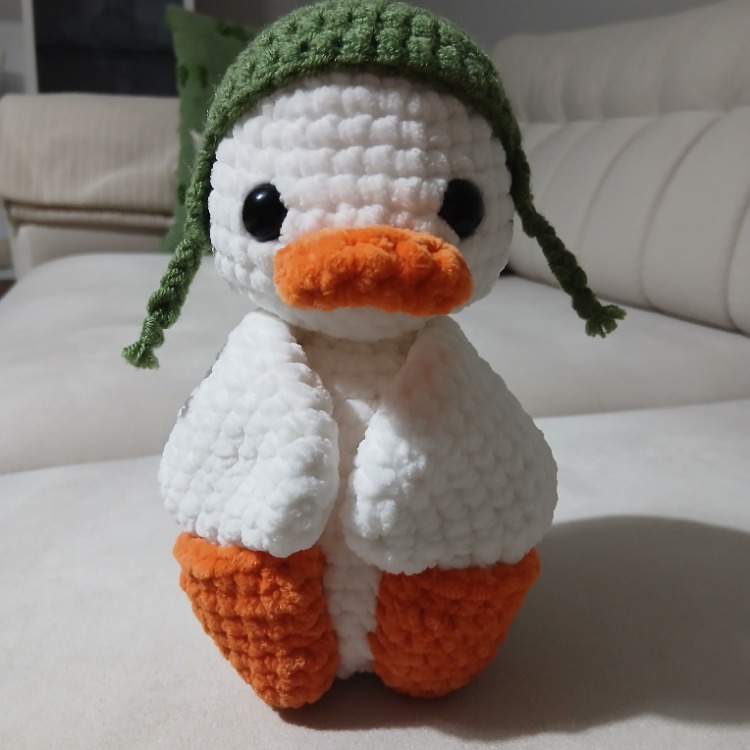 Pilot Ördek