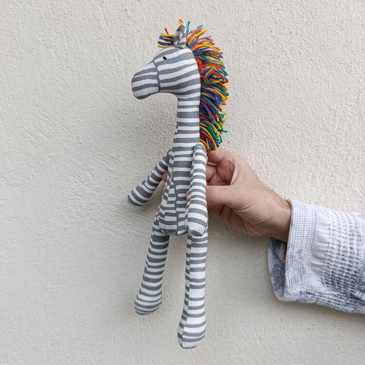 renkli saçlı zebra
