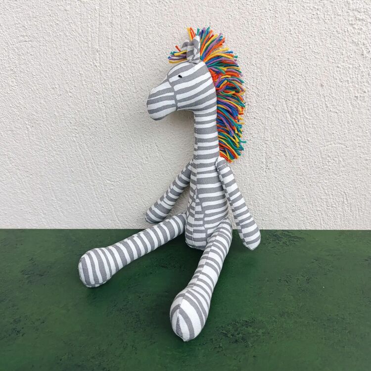renkli saçlı zebra