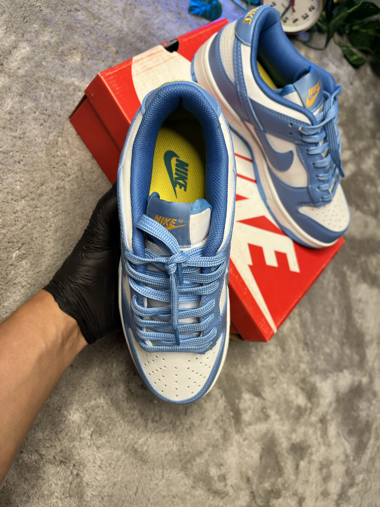 Nike Dunk Low Coast