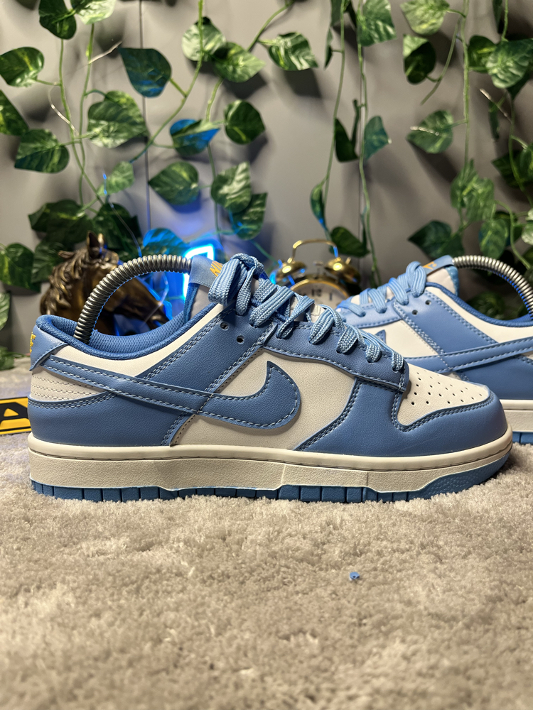 Nike Dunk Low Coast
