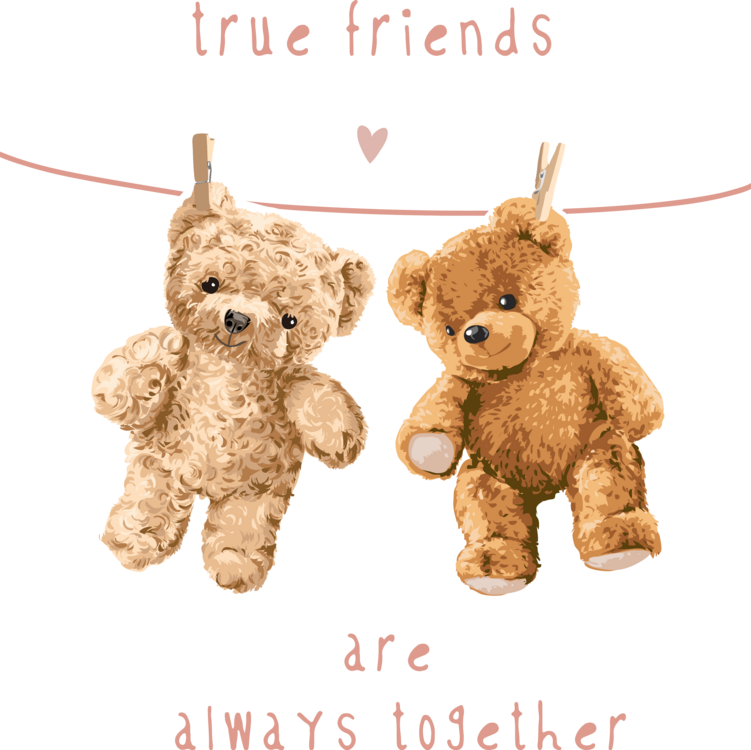 TEDDY TRUE FRİENDS 22CM
