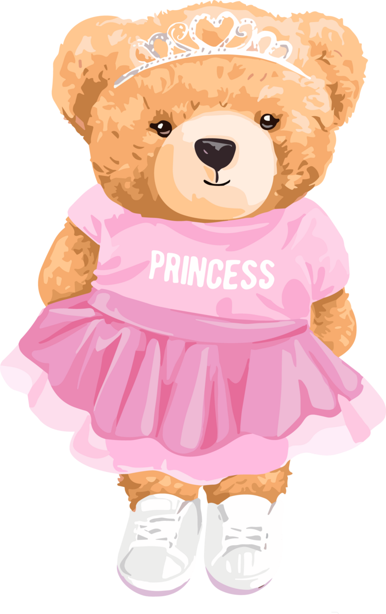 TEDDY GIRL PRINCESS 22CM