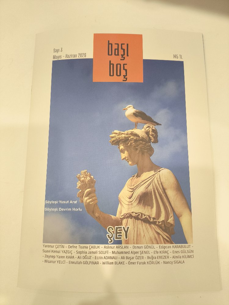 Başı Boş Fanzin 3. Sayı: ŞEY