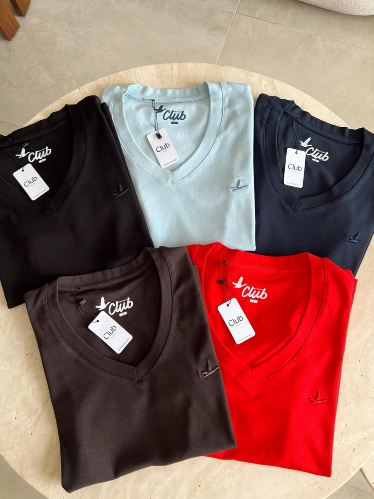 V Yaka Nakışlı Tişört