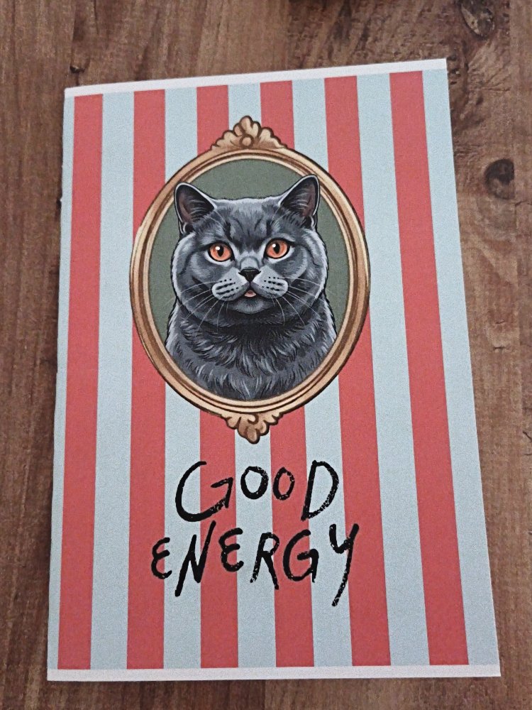Kedi Defter