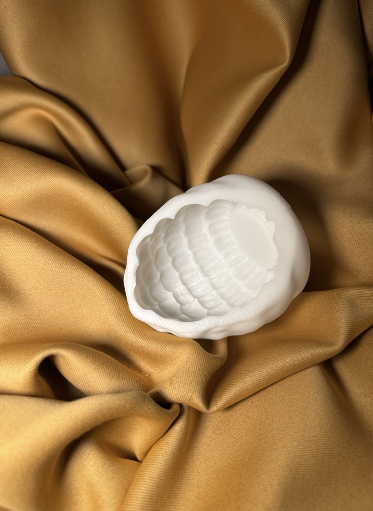 Frambuaz Kalıbı