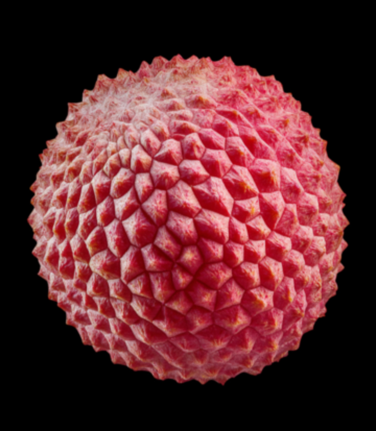 Realistik Litchi (Liçi) Silikon Kalıp – Profesyonel Seri