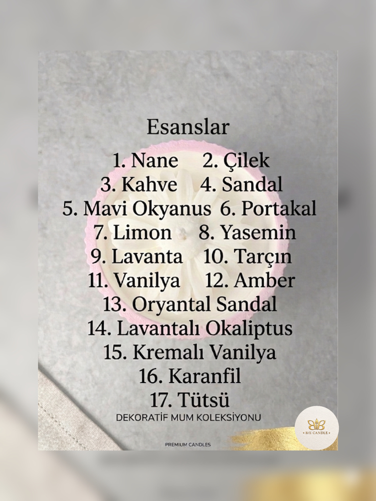 Özel Seri Taş Saksı Mum