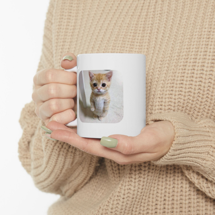 Kedi Kupa