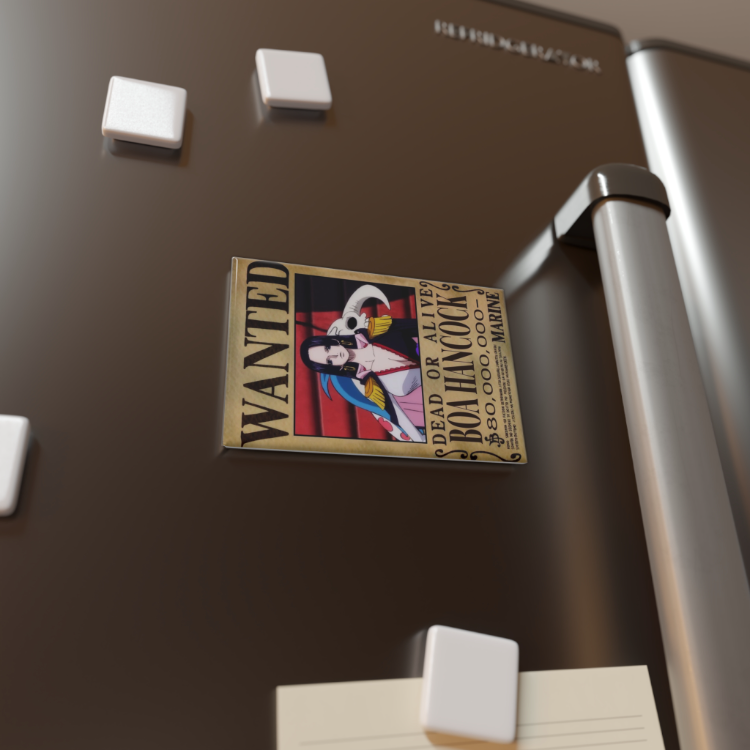 One Piece Magnetler