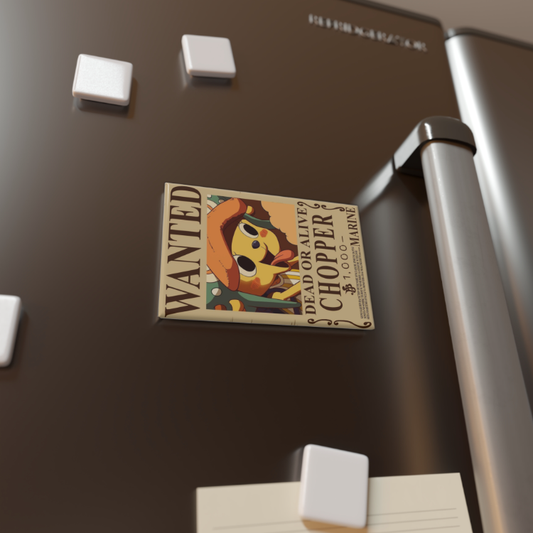 One Piece Magnetler