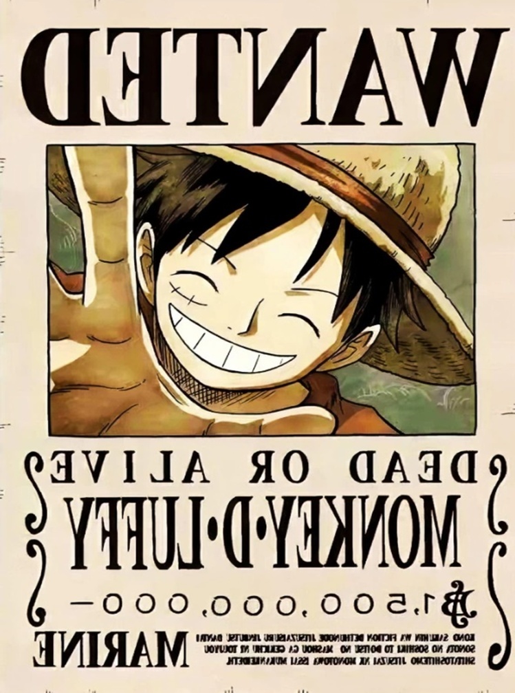 One Piece Wanted Poster