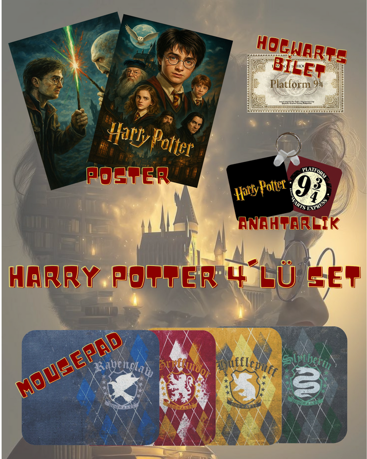 Harry Potter 4'lü Set