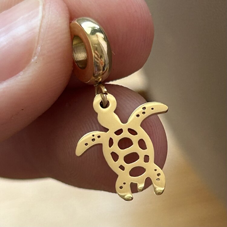 Kaplumbağa Charm