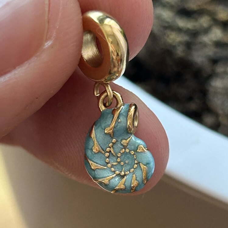 Salyangoz Kabuğu Charm