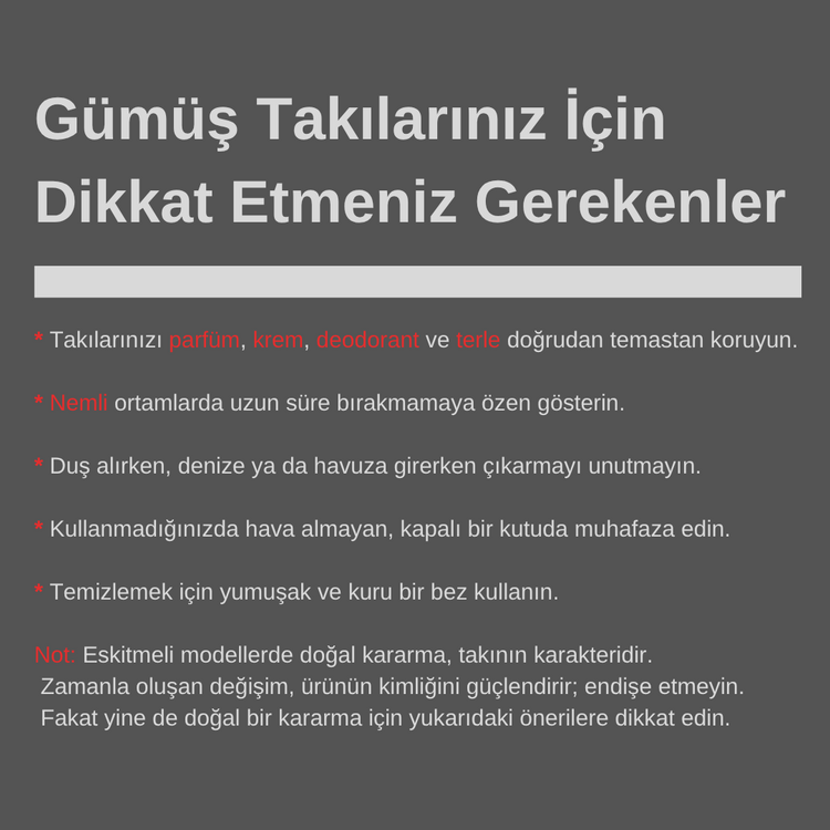 Gümüş Payza Kolye