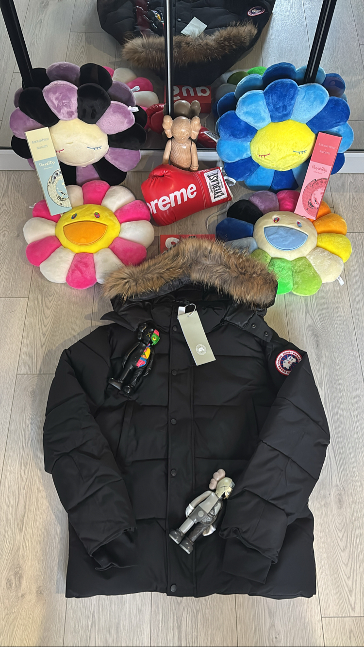 Canada Goose “Down Jacket”