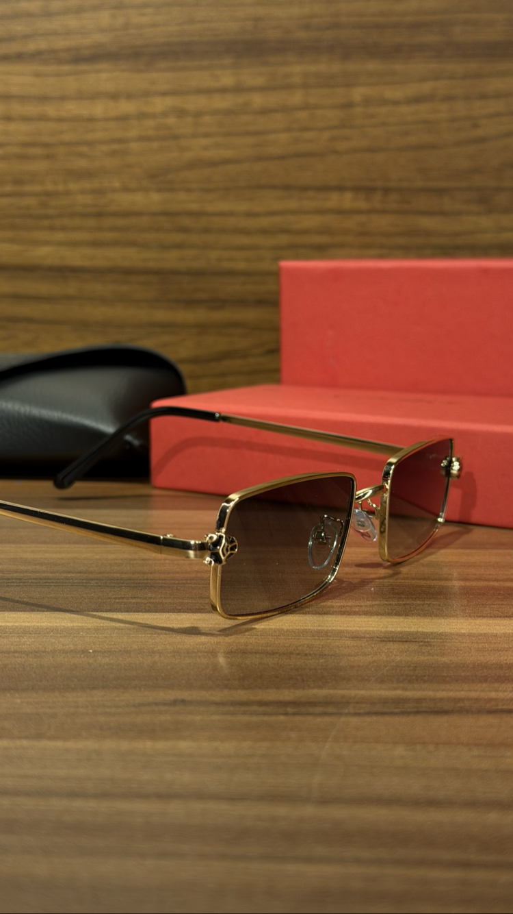 CARTIER ITHAL GÖZLÜK 07
