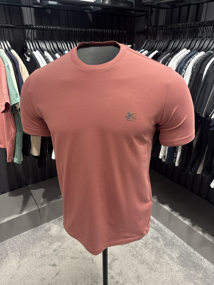 Premium Etro T-shirt (2238-Somon)