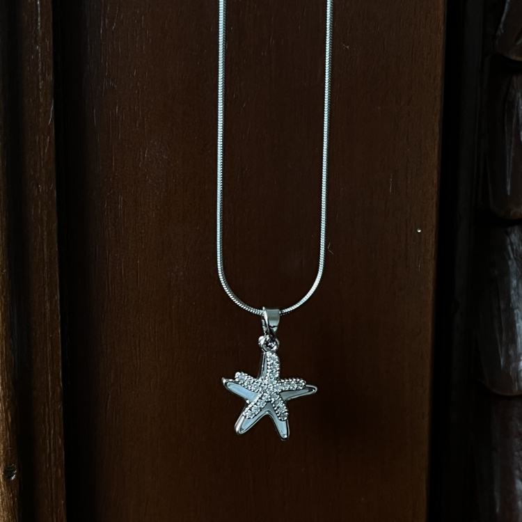 deniz yıldızı kolye silver