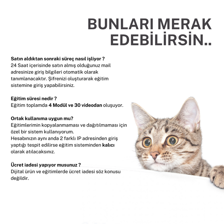 DM İkna & Satış Eğitimi (Video Eğitim)