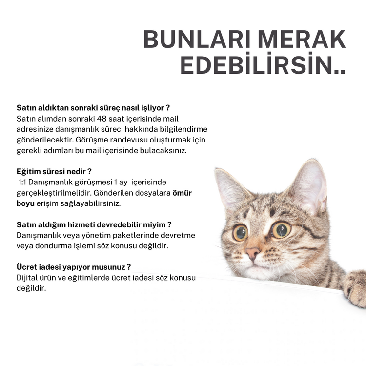 Aylık Sosyal Medya Yönetimi