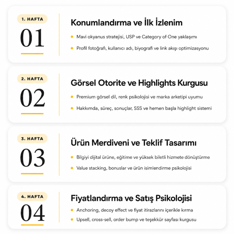 VIP Mentörlük