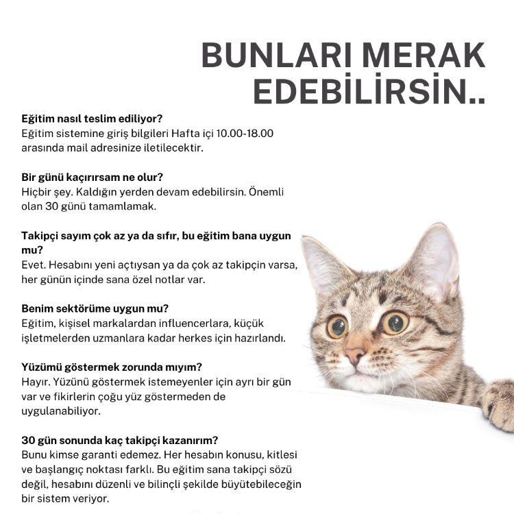 Ölü Hesap Canlandırma Eğitimi