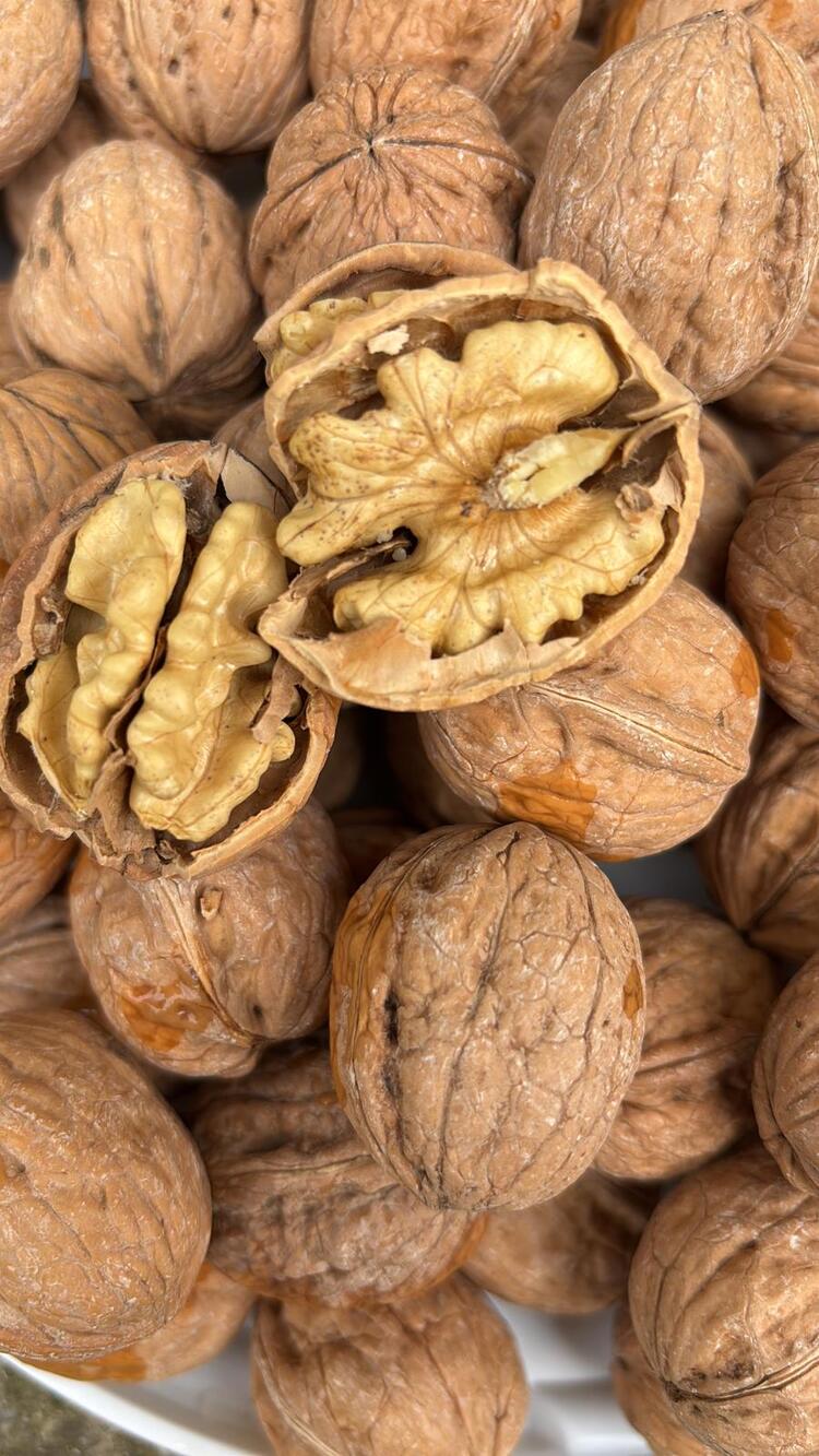 10kg 2025 Hasat Kabuklu Ceviz