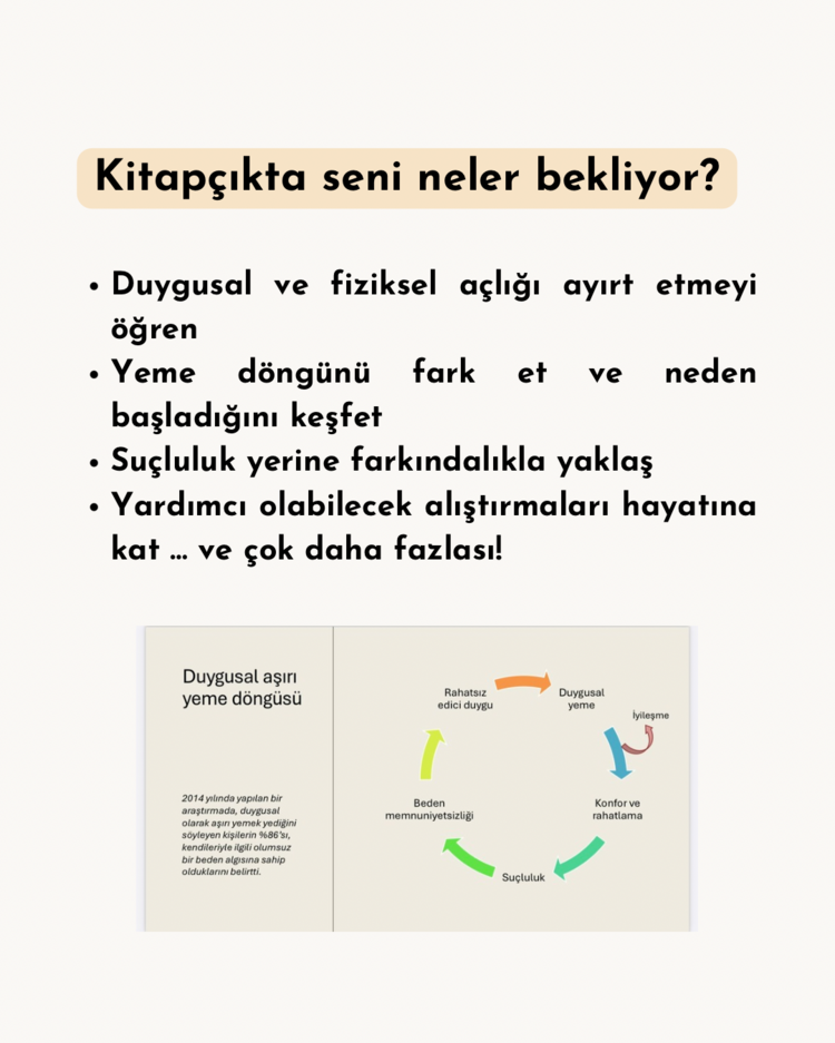 DUYGUSAL YEMEYİ ANLAMAK