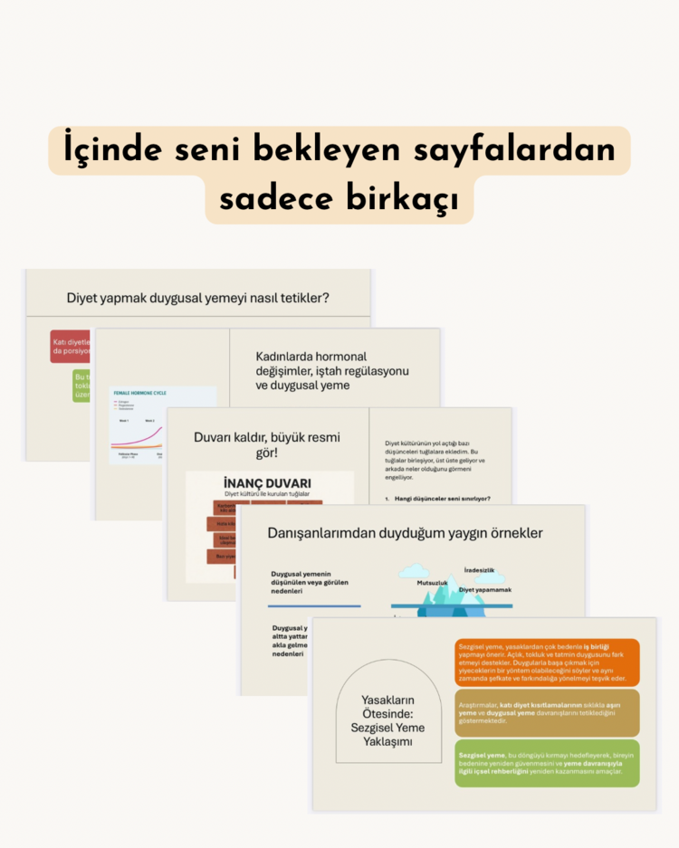 DUYGUSAL YEMEYİ ANLAMAK