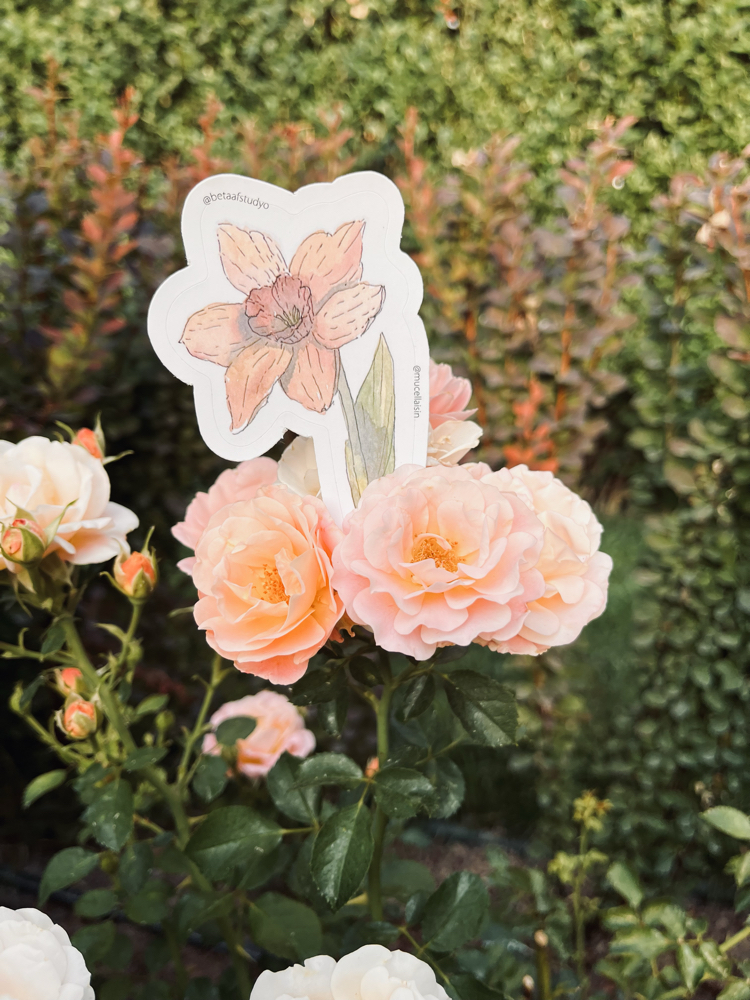 Watercolor Flower Sticker Pack - 4’lü Sticker Seti