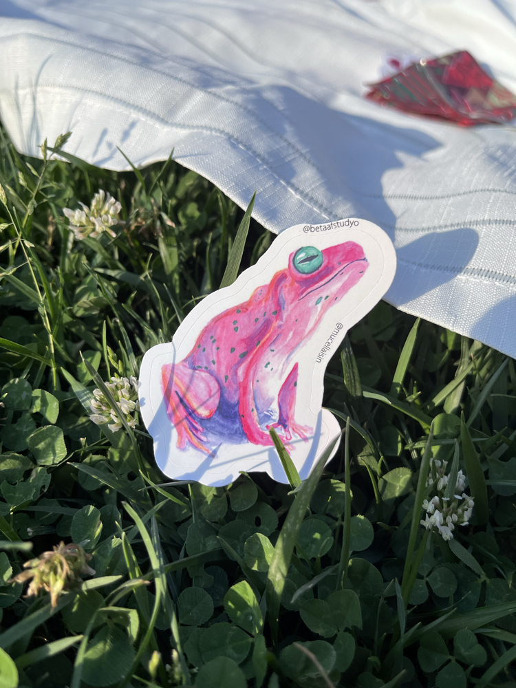 Orta Boy Tekli Sticker - Kurbağa