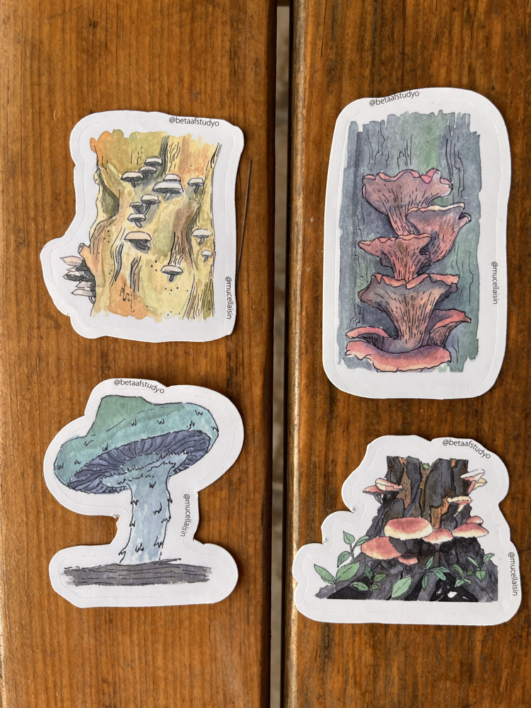 Watercolor Mushroom Sticker Pack - 4’lü Sticker Seti