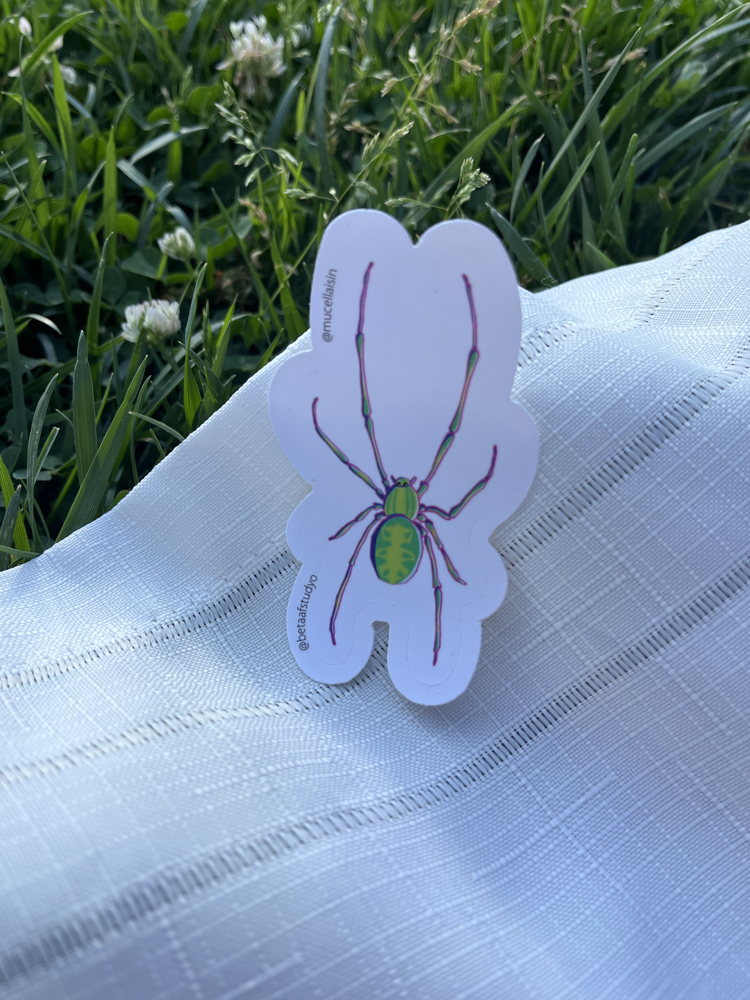 Küçük Boy Tekli Sticker - Örümcek 1