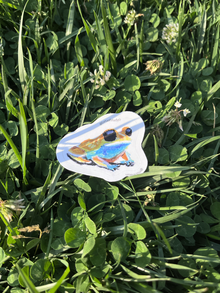 Küçük Boy Tekli Sticker - Pastel Kurbağa
